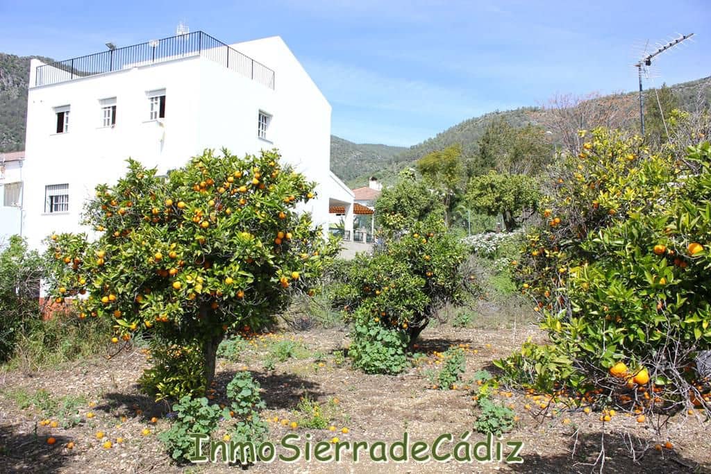 Teren niezagospodarowany na sprzedaż w Algodonales - 175 000 € (Ref: 8927233)