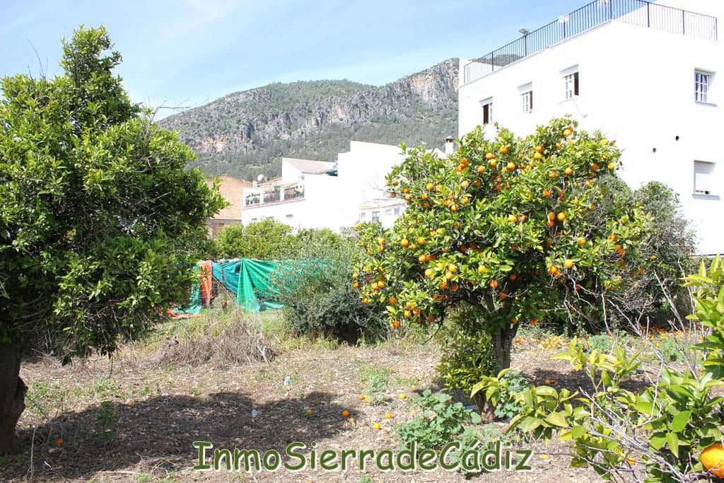 Teren niezagospodarowany na sprzedaż w Algodonales - 175 000 € (Ref: 8927233)