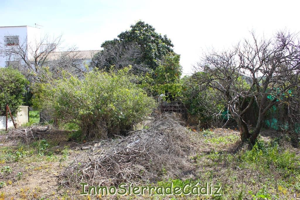 Teren niezagospodarowany na sprzedaż w Algodonales - 175 000 € (Ref: 8927233)