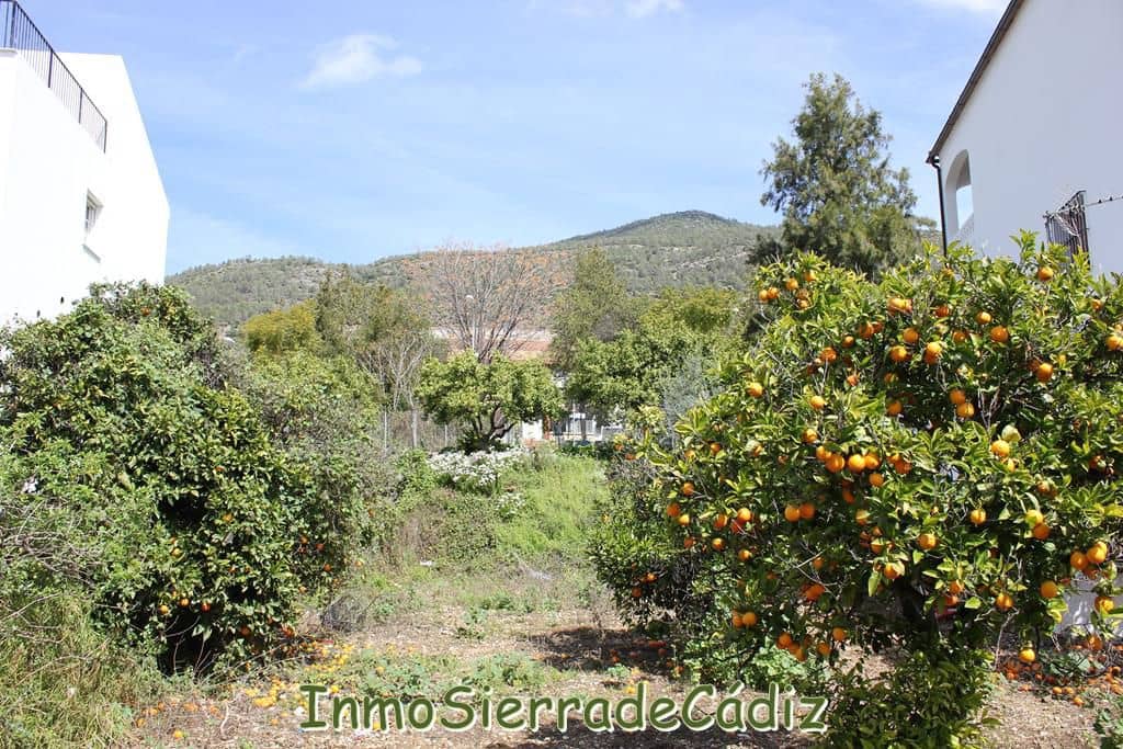 Teren niezagospodarowany na sprzedaż w Algodonales - 175 000 € (Ref: 8927233)