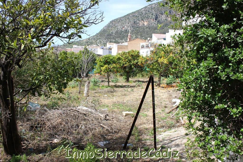 Teren niezagospodarowany na sprzedaż w Algodonales - 175 000 € (Ref: 8927233)