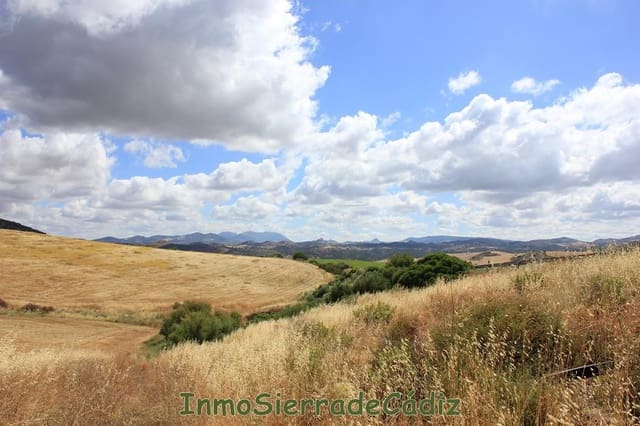 Finca/Landehus til salg i Algodonales - € 30.000 (Ref: 8932614)