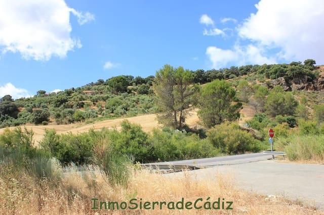 Finca/Landehus til salg i Algodonales - € 30.000 (Ref: 8932614)