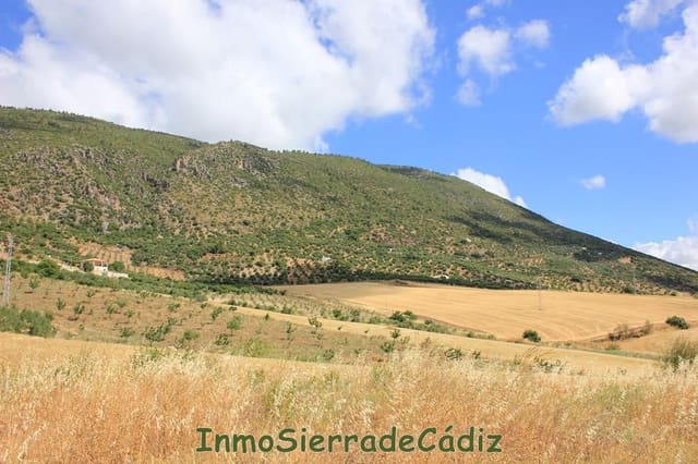 Finca/Landehus til salg i Algodonales - € 30.000 (Ref: 8932614)