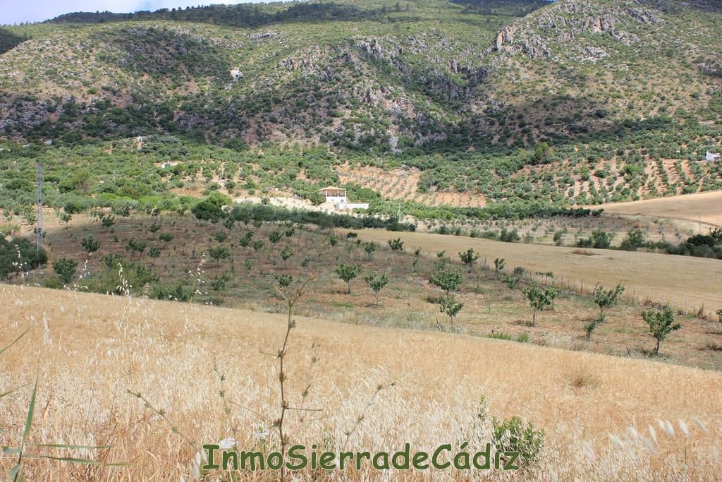 Finca/Hus på landet till salu i Algodonales - 30 000 € (Ref: 8932614)
