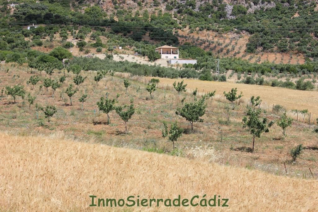 Finca/Hus på landet till salu i Algodonales - 30 000 € (Ref: 8932614)
