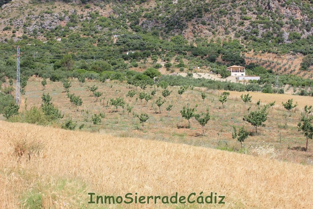 Finca/Hus på landet till salu i Algodonales - 30 000 € (Ref: 8932614)
