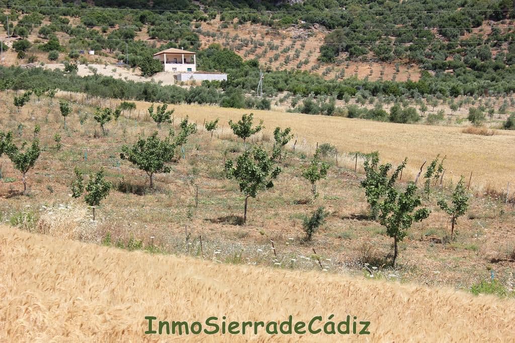 Finca/Hus på landet till salu i Algodonales - 30 000 € (Ref: 8932614)