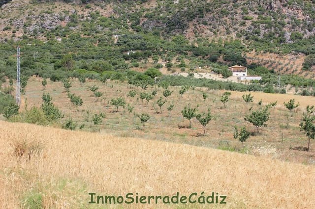 Finca/Landehus til salg i Algodonales - € 30.000 (Ref: 8932614)