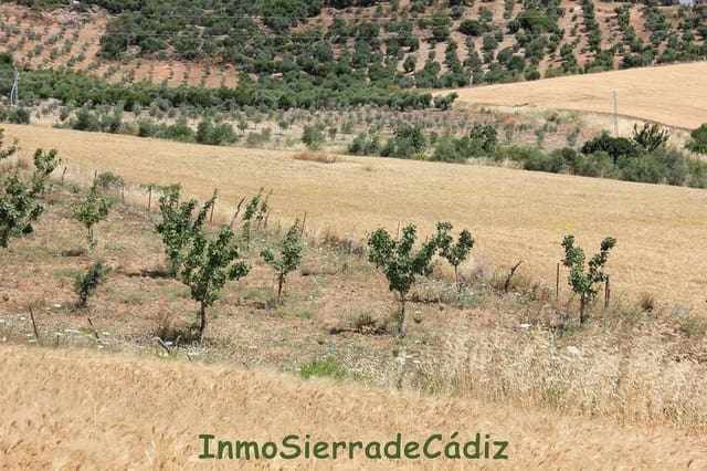 Finca/Landehus til salg i Algodonales - € 30.000 (Ref: 8932614)