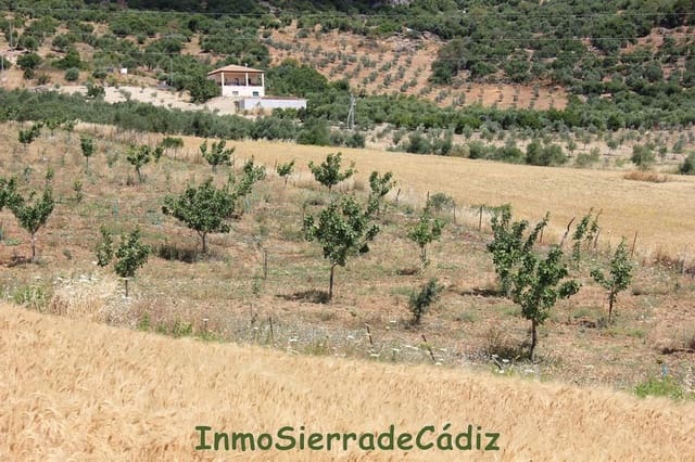 Finca/Landehus til salg i Algodonales - € 30.000 (Ref: 8932614)