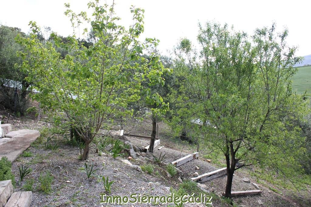 2 bedroom Finca/Country House for sale in Algodonales with garage - € 380,000 (Ref: 8960489)