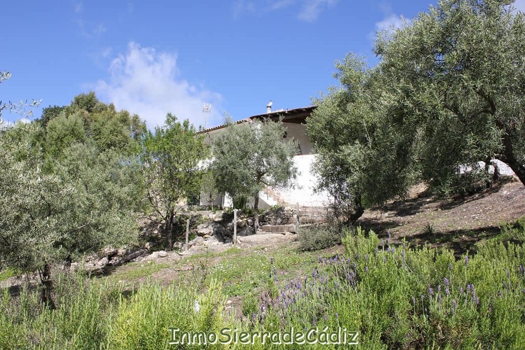 2 bedroom Finca/Country House for sale in Algodonales with garage - € 380,000 (Ref: 8960489)