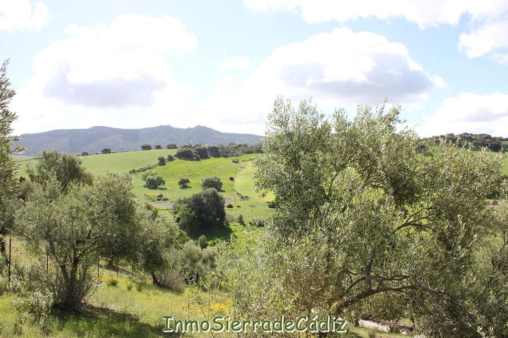 2 bedroom Finca/Country House for sale in Algodonales with garage - € 380,000 (Ref: 8960489)