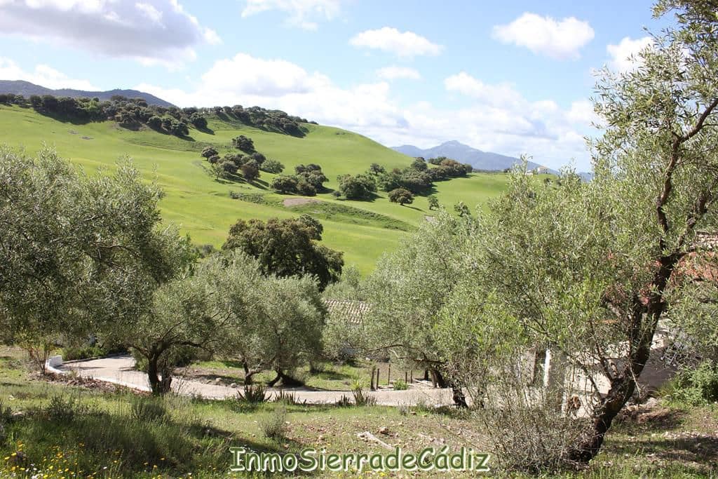 2 bedroom Finca/Country House for sale in Algodonales with garage - € 380,000 (Ref: 8960489)