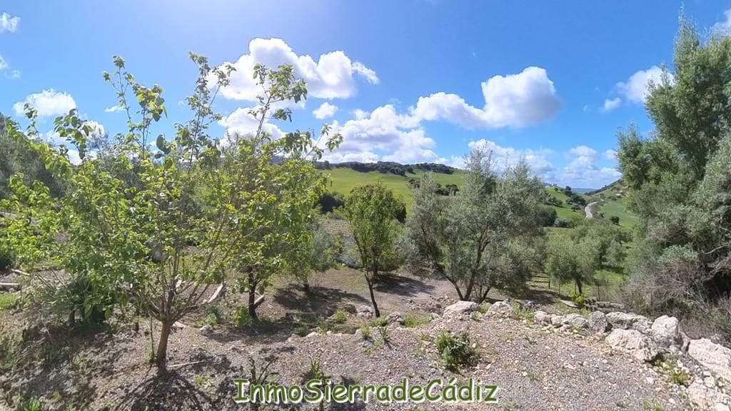 2 bedroom Finca/Country House for sale in Algodonales with garage - € 380,000 (Ref: 8960489)