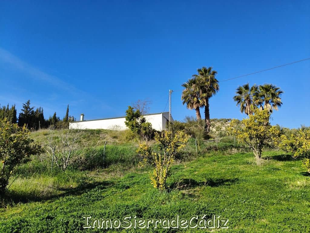 2 soveværelse Finca/Landehus til salg i Ronda - € 530.000 (Ref: 8960490)