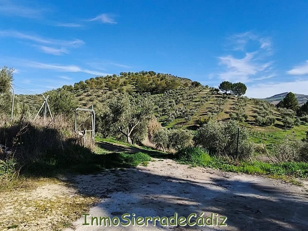 2 soveværelse Finca/Landehus til salg i Ronda - € 530.000 (Ref: 8960490)
