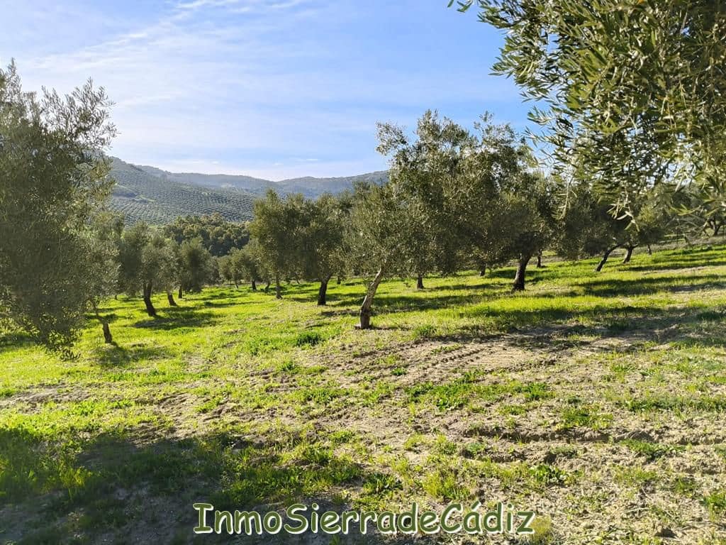 2 soveværelse Finca/Landehus til salg i Ronda - € 530.000 (Ref: 8960490)