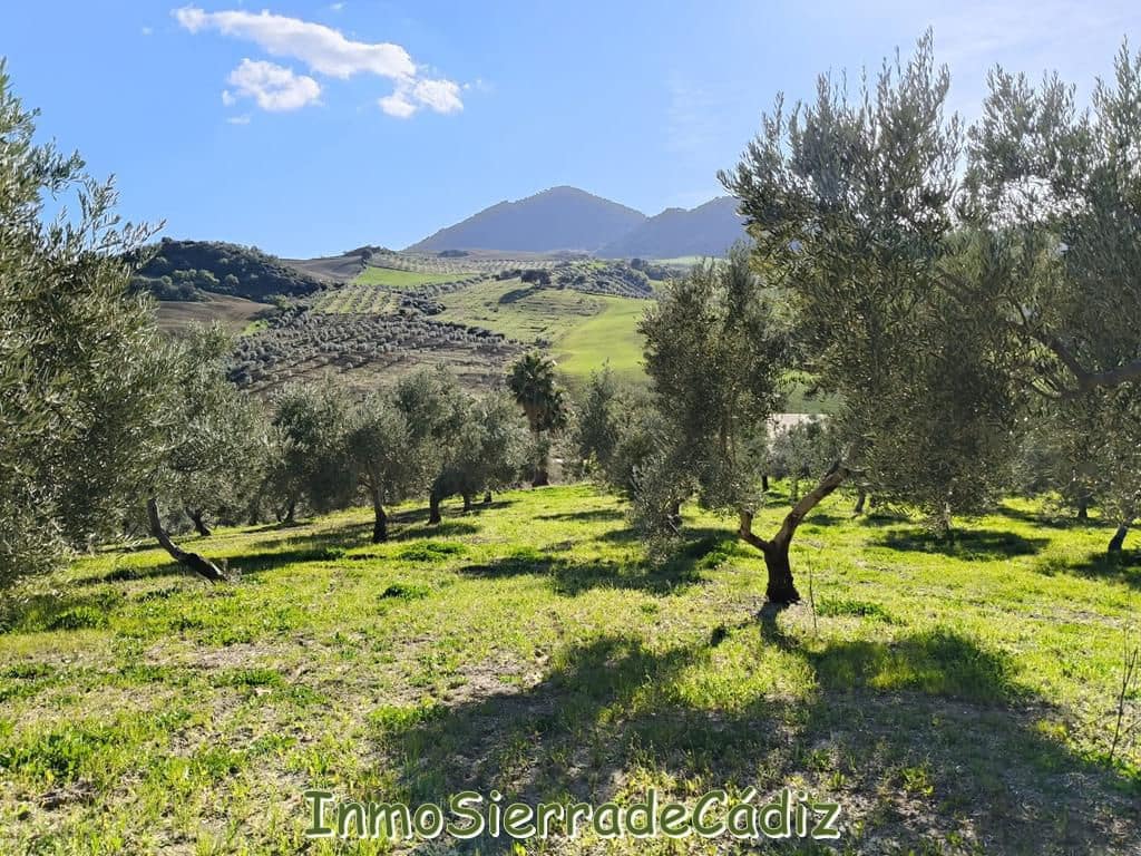 2 soveværelse Finca/Landehus til salg i Ronda - € 530.000 (Ref: 8960490)