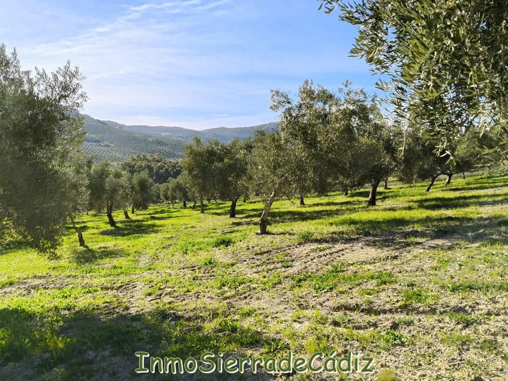 2 soveværelse Finca/Landehus til salg i Ronda - € 530.000 (Ref: 8960490)