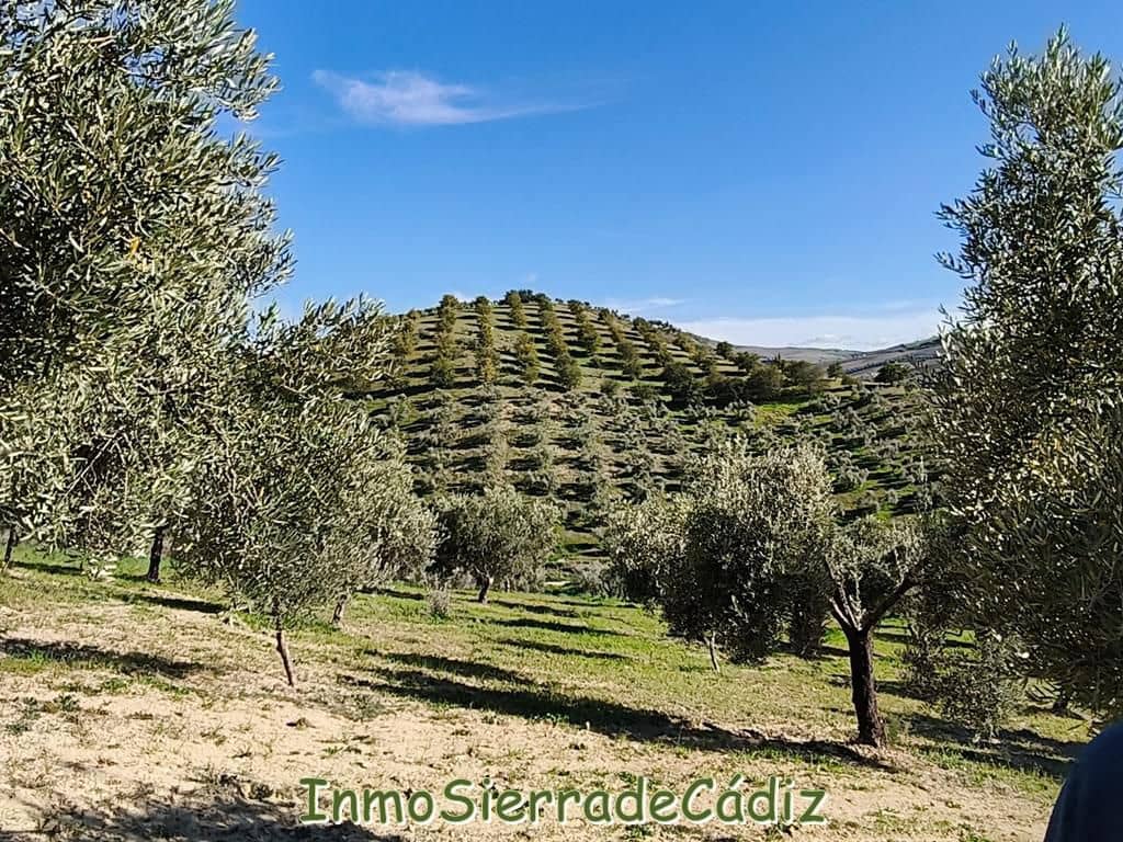 2 soveværelse Finca/Landehus til salg i Ronda - € 530.000 (Ref: 8960490)