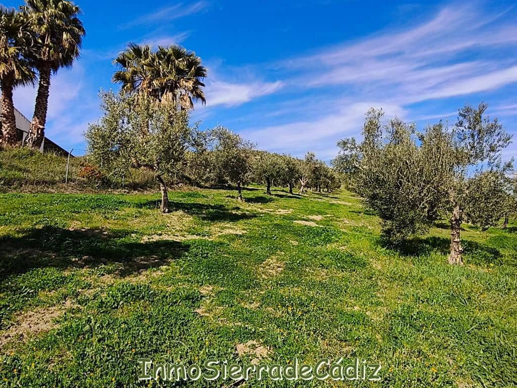 2 soveværelse Finca/Landehus til salg i Ronda - € 530.000 (Ref: 8960490)