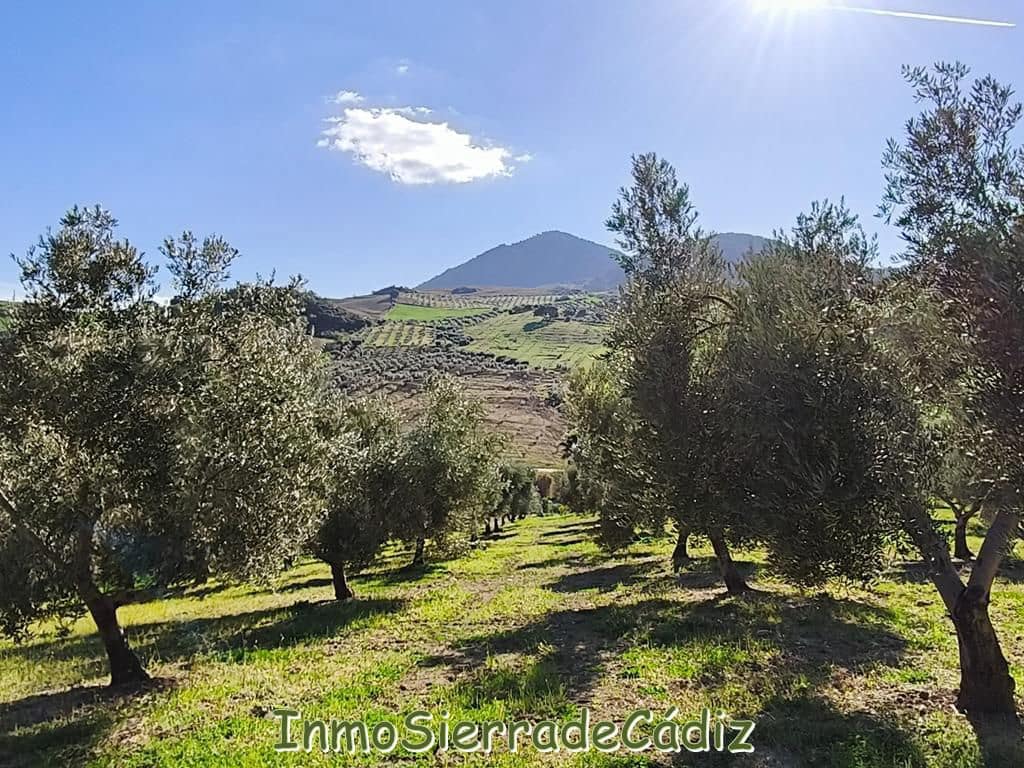 2 soveværelse Finca/Landehus til salg i Ronda - € 530.000 (Ref: 8960490)