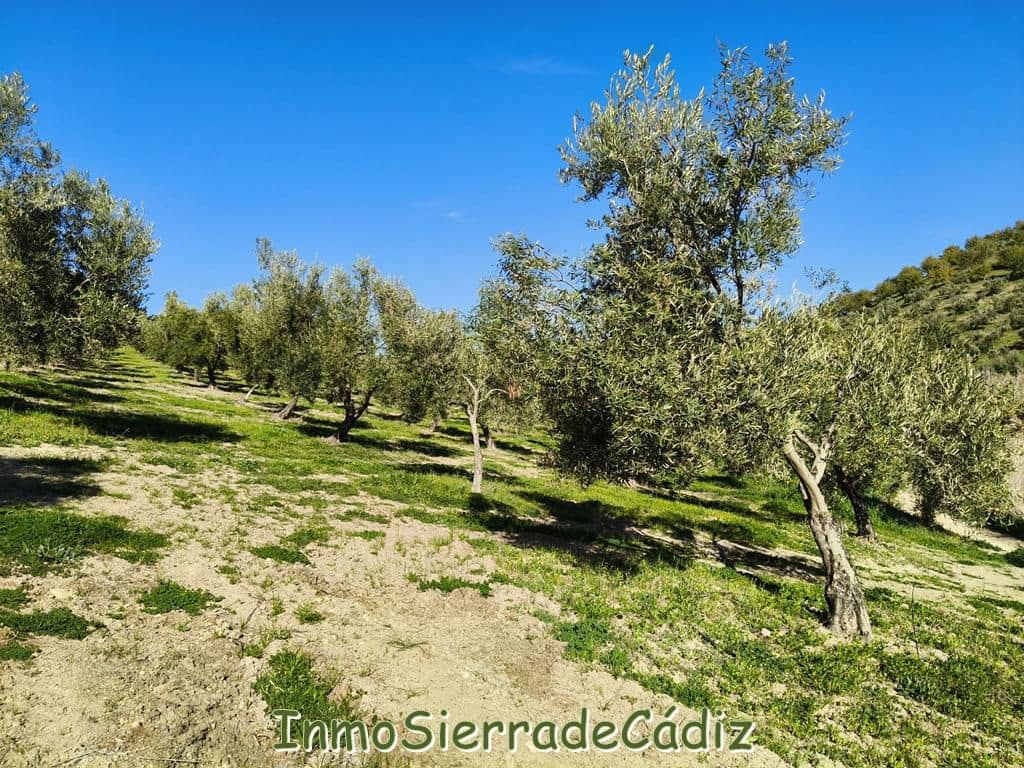 2 soveværelse Finca/Landehus til salg i Ronda - € 530.000 (Ref: 8960490)