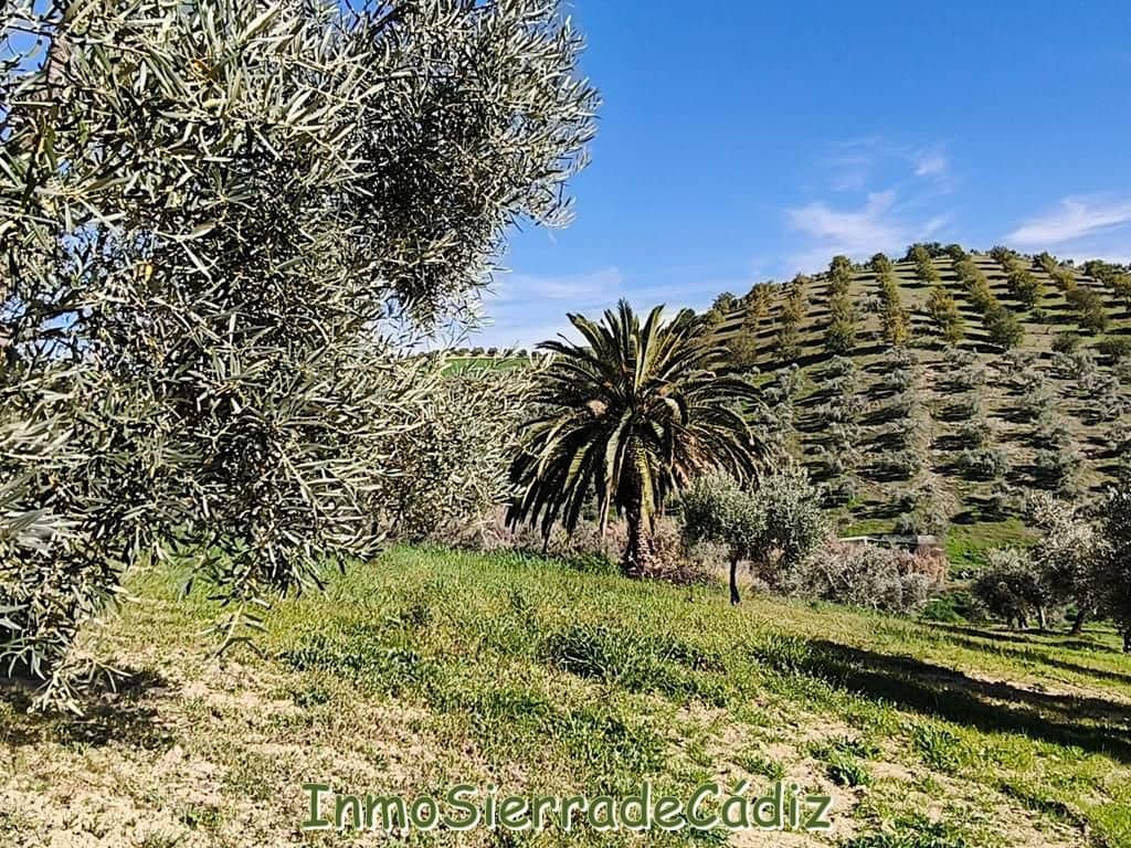 2 soveværelse Finca/Landehus til salg i Ronda - € 530.000 (Ref: 8960490)
