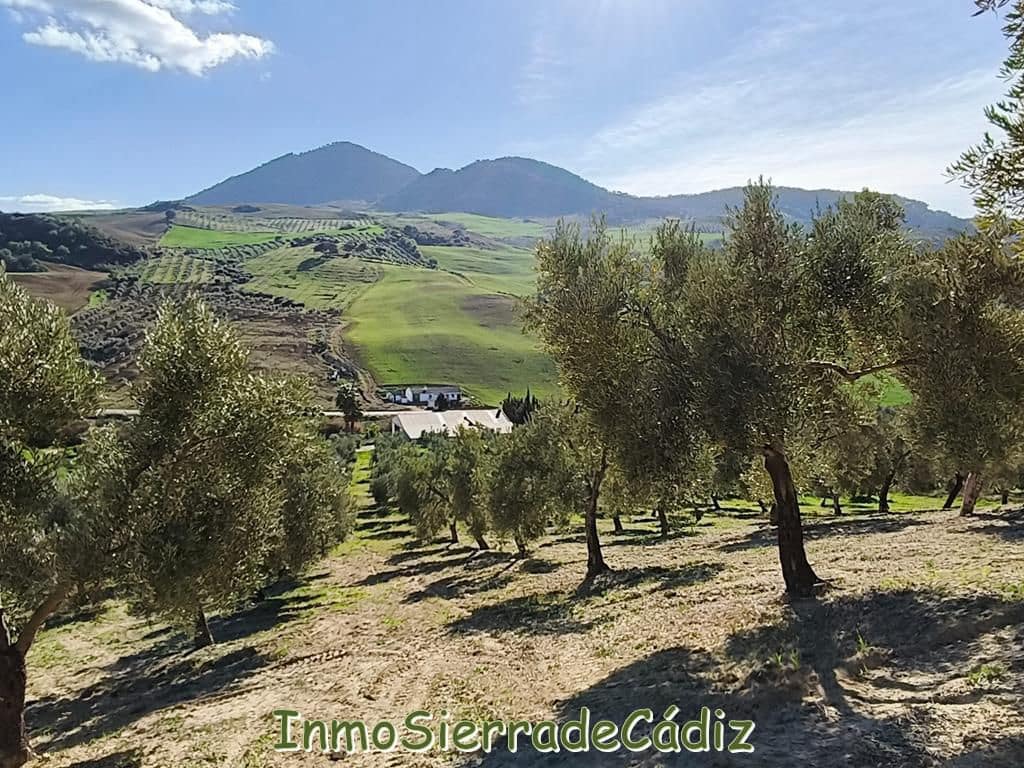 2 soveværelse Finca/Landehus til salg i Ronda - € 530.000 (Ref: 8960490)
