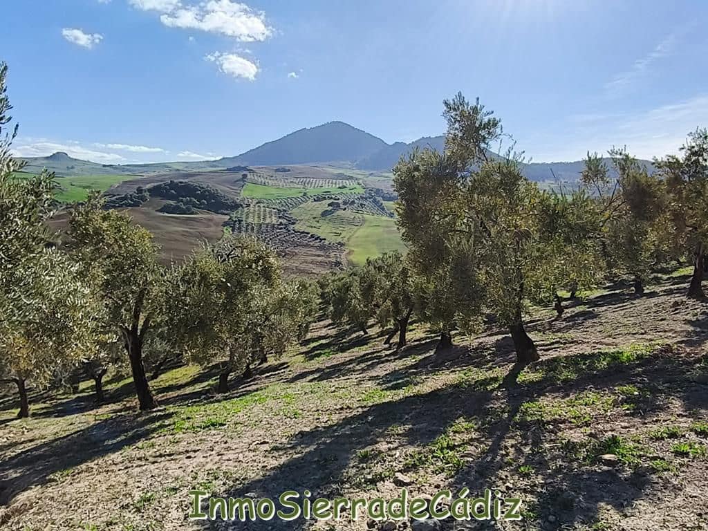 2 soveværelse Finca/Landehus til salg i Ronda - € 530.000 (Ref: 8960490)