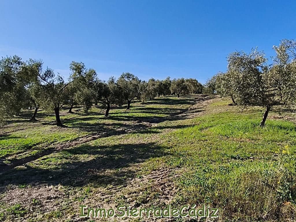 2 soveværelse Finca/Landehus til salg i Ronda - € 530.000 (Ref: 8960490)