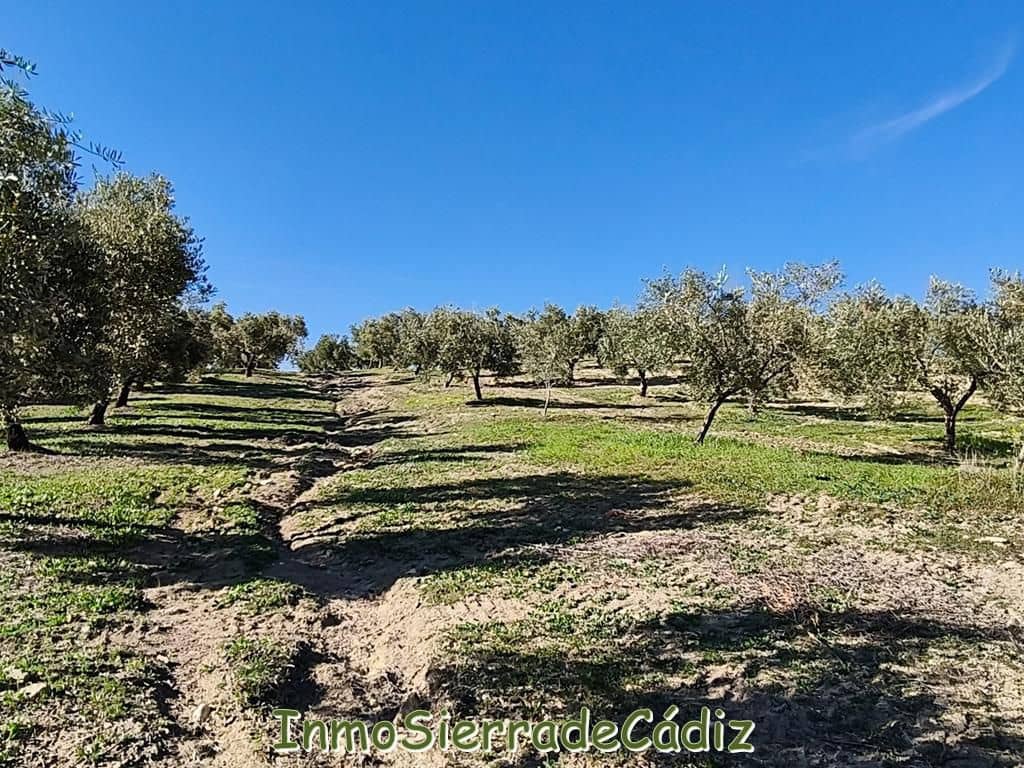 2 soveværelse Finca/Landehus til salg i Ronda - € 530.000 (Ref: 8960490)