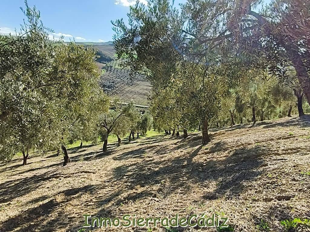 2 soveværelse Finca/Landehus til salg i Ronda - € 530.000 (Ref: 8960490)