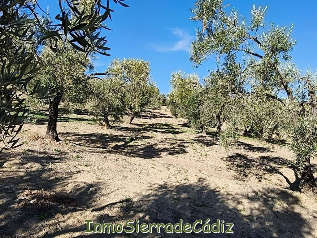 2 soveværelse Finca/Landehus til salg i Ronda - € 530.000 (Ref: 8960490)