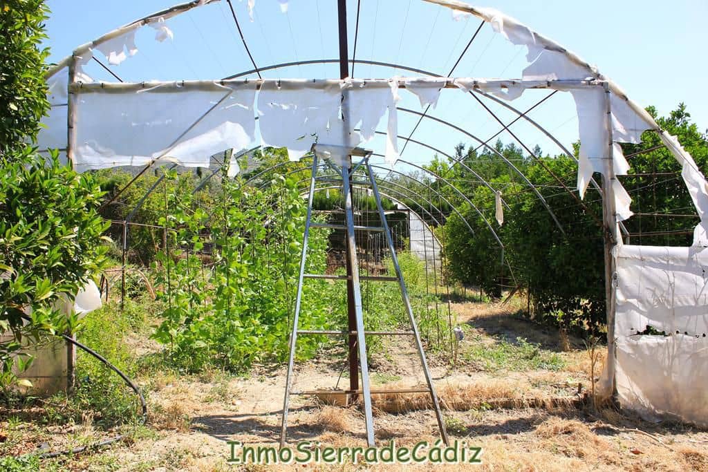 2 soveværelse Finca/Landehus til salg i Algodonales med garage - € 180.000 (Ref: 9075871)