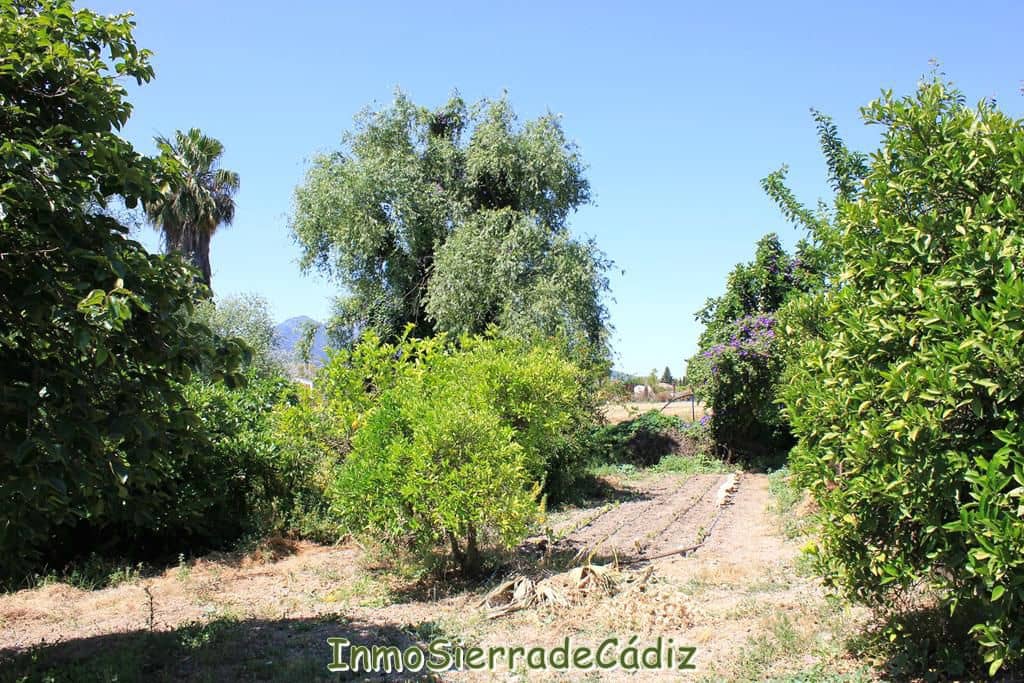 2 soveværelse Finca/Landehus til salg i Algodonales med garage - € 180.000 (Ref: 9075871)