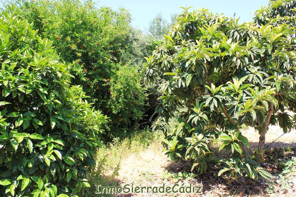 2 soveværelse Finca/Landehus til salg i Algodonales med garage - € 180.000 (Ref: 9075871)