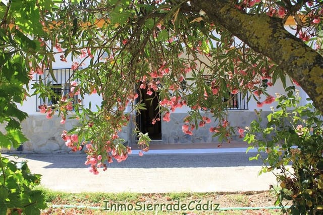 2 chambre Finca/Maison de Campagne à vendre à Algodonales - 239 000 € (Ref: 9116381)