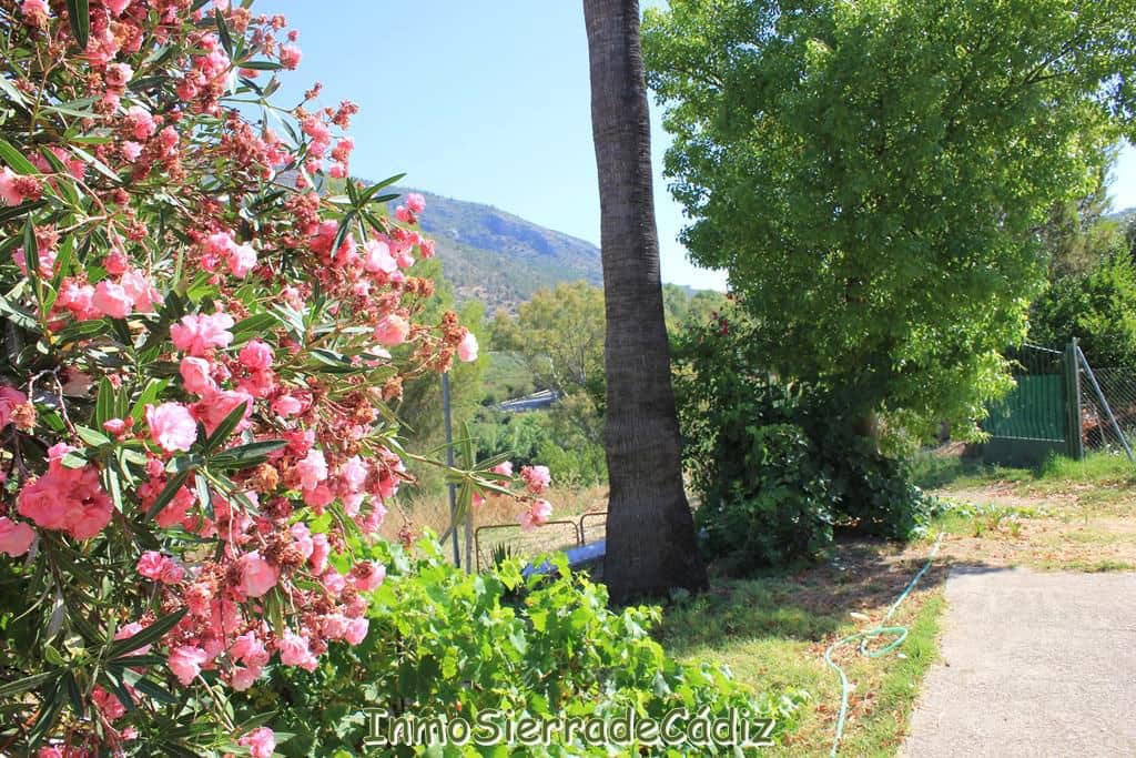 2 soveværelse Finca/Landehus til salg i Algodonales - € 239.000 (Ref: 9116381)