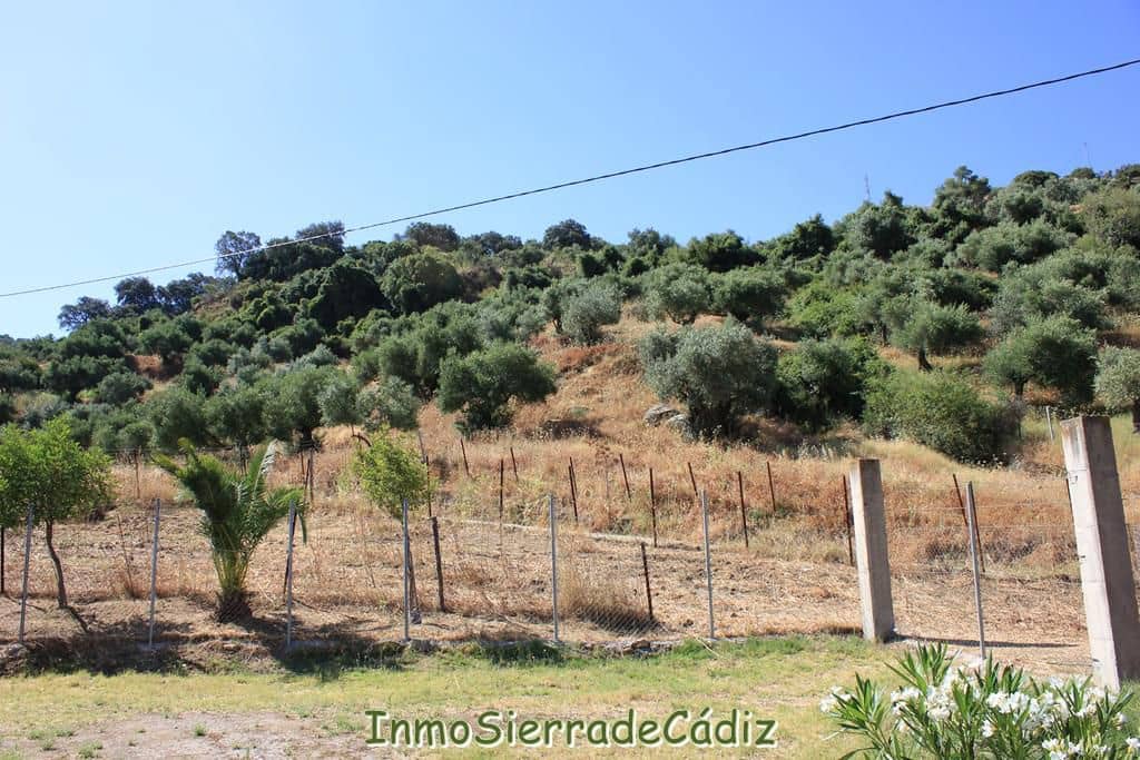 2 soveværelse Finca/Landehus til salg i Algodonales - € 239.000 (Ref: 9116381)