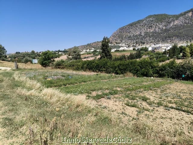 2 soverom Finca/Herregård til salgs i Algodonales - € 239 000 (Ref: 9116381)