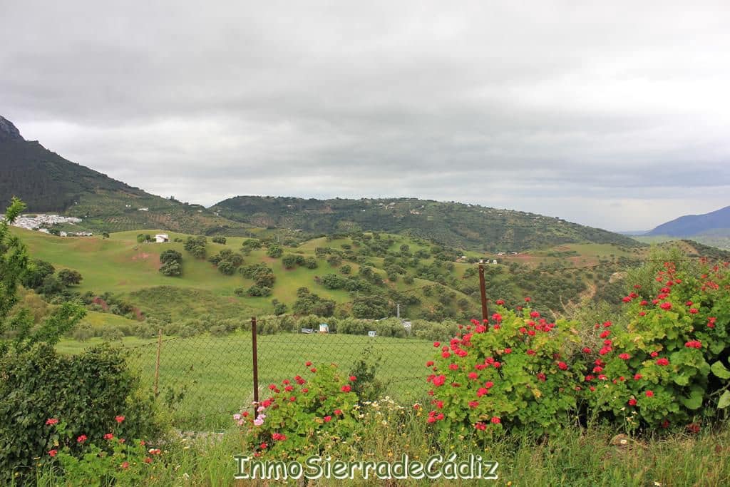 3 soveværelse Finca/Landehus til salg i El Gastor - € 176.000 (Ref: 9145766)