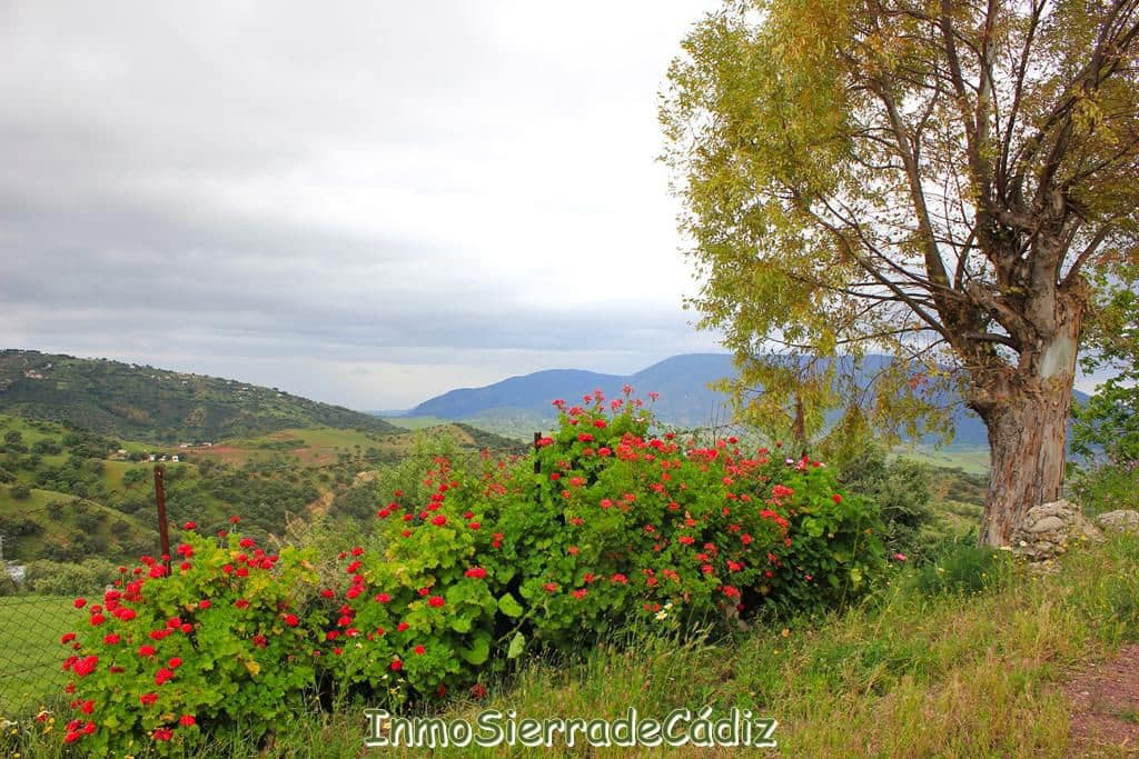 3 soveværelse Finca/Landehus til salg i El Gastor - € 176.000 (Ref: 9145766)