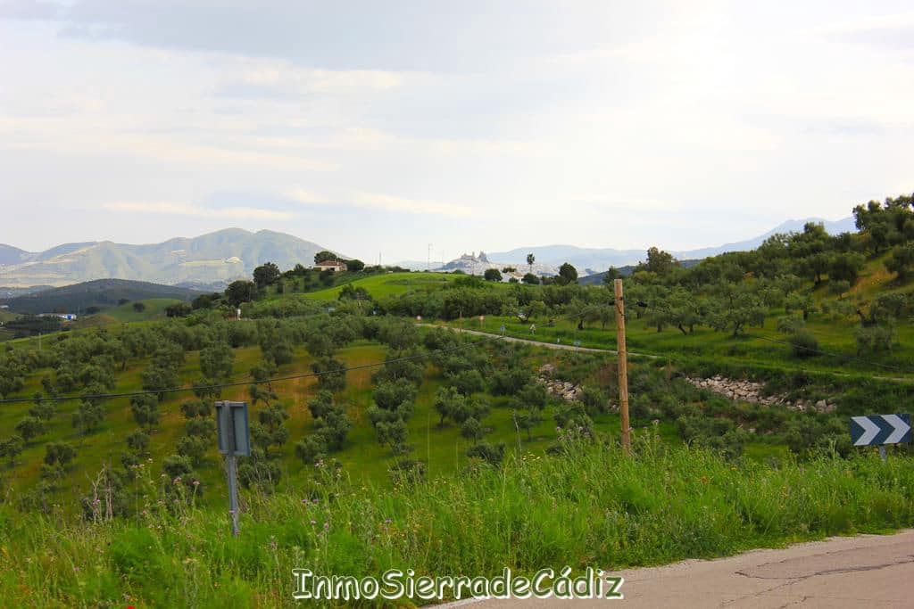 3 soveværelse Finca/Landehus til salg i El Gastor - € 176.000 (Ref: 9145766)