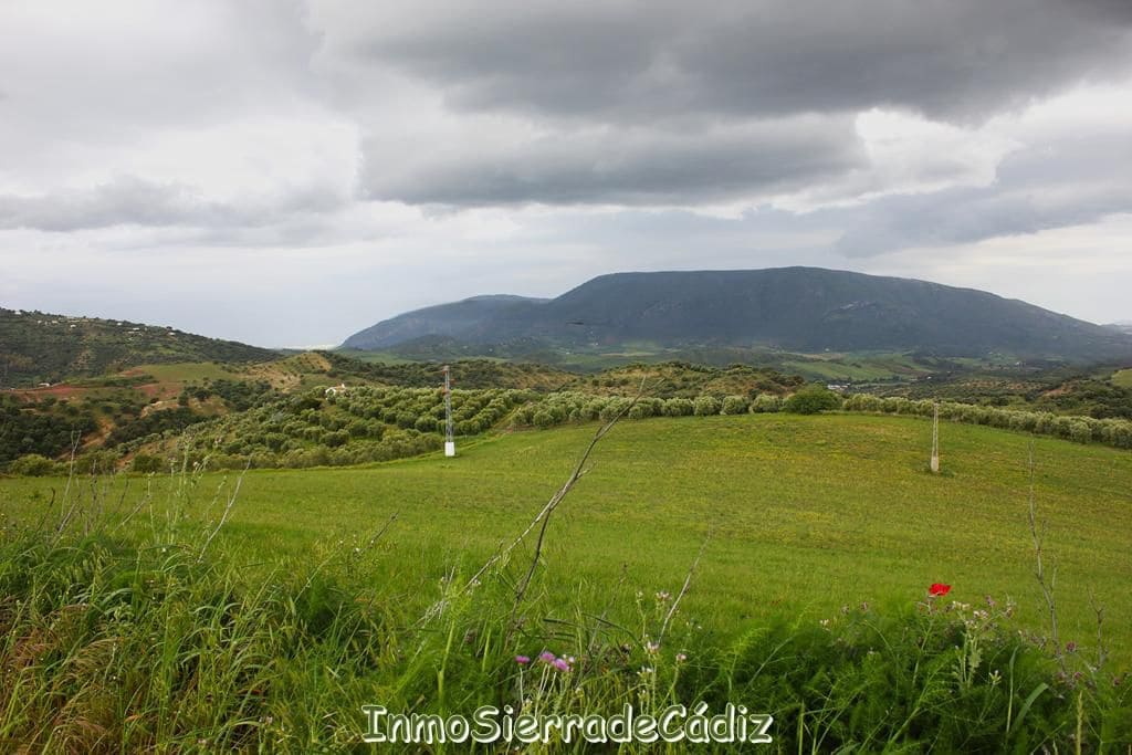 3 soveværelse Finca/Landehus til salg i El Gastor - € 176.000 (Ref: 9145766)