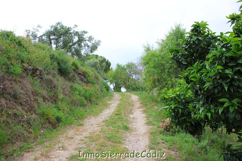 3 soveværelse Finca/Landehus til salg i El Gastor - € 176.000 (Ref: 9145766)