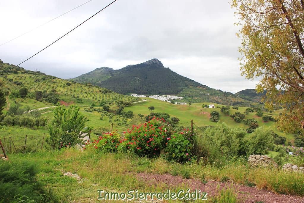 3 soveværelse Finca/Landehus til salg i El Gastor - € 176.000 (Ref: 9145766)