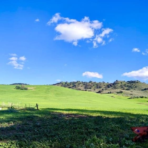 Finca/Landehus til salg i Olvera - € 754.000 (Ref: 9156152)